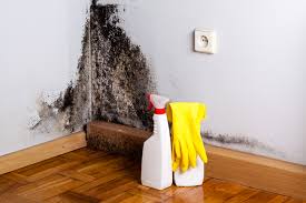 Best Mold Remediation for Healthcare Facilities  in Mebane, NC